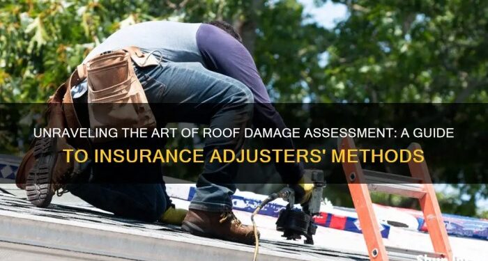 PPT - Roof Covering Fixing-- Tornado Damage Assessment PowerPoint ...
