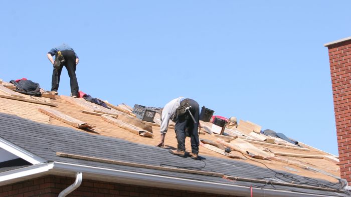 Best roof repair companies