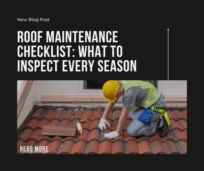 Roof Maintenance Checklist: What to Inspect Every Season – Watertight ...