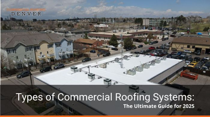 Types of Commercial Roofing Systems