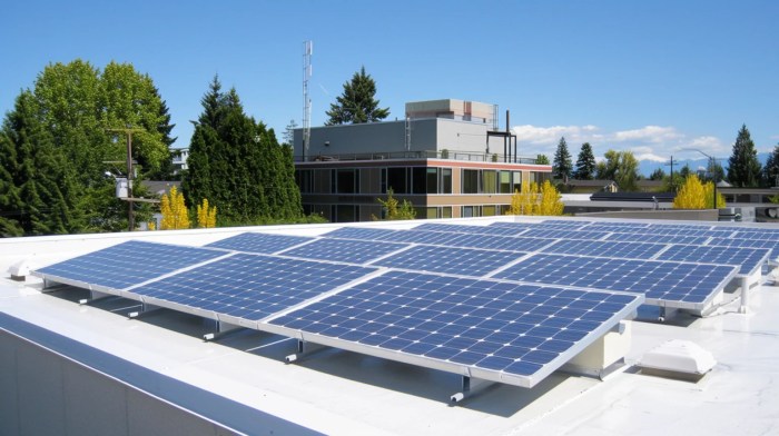 Commercial Roofing Companies Near Me: Quality Services In Your Area